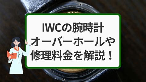 iwc メンテナンス 費用|サービス料金の計算式 .